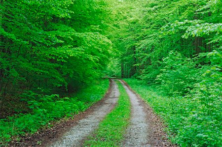 Route à travers la forêt, le Parc National Hainich, Thuringe, Allemagne Photographie de stock - Premium Libres de Droits, Code: 600-00934943