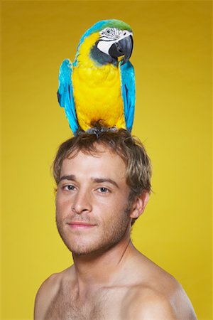 Parrot on Man's Head Foto de stock - Sin royalties Premium, Código: 600-00949057