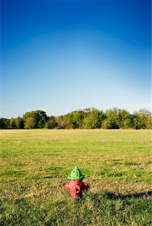 Fire Hydrant in Field Fotografie stock - Premium Royalty-Free, Codice: 600-00955041