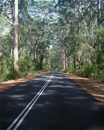 Country Road in Leeuwin Naturaliste National Park, Western Australia, Australia Photographie de stock - Premium Libres de Droits, Code: 600-00983312
