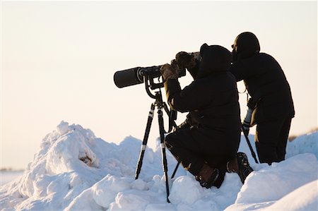 sesión fotográfica - Wildlife Photographers, Hokkaido, Japan Foto de stock - Sin royalties Premium, Código: 600-01015171