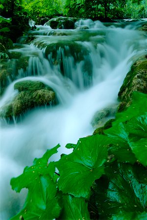 simsearch:6129-09057994,k - Feuillage et cascade, Parc National des lacs de Plitvice, Croatie Photographie de stock - Premium Libres de Droits, Code: 600-01041904