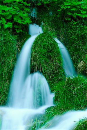 simsearch:600-01072404,k - Rivulets Flowing over Grass, Plitvice Lakes National Park, Croatia Stock Photo - Premium Royalty-Free, Code: 600-01041905