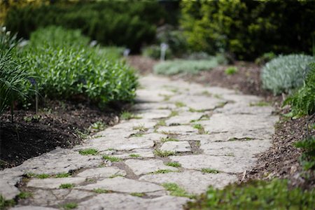 Path, Niagara Butterfly Conservatory, Niagara, Ontario, Canada Stock Photo - Premium Royalty-Free, Code: 600-01042610