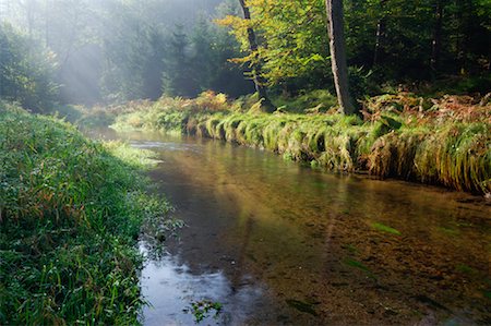 Stream durch Wald, Elbsandsteingebirge, Sächsische Schweiz, Sachsen, Deutschland Stockbilder - Premium RF Lizenzfrei, Bildnummer: 600-01072405