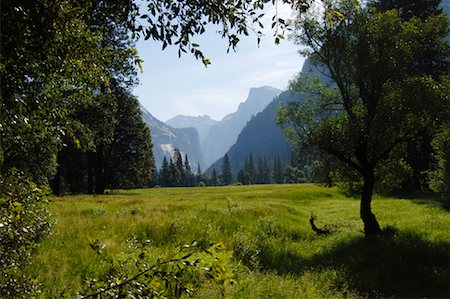 simsearch:600-02756997,k - Yosemite National Park, California, USA Foto de stock - Sin royalties Premium, Código: 600-01072443
