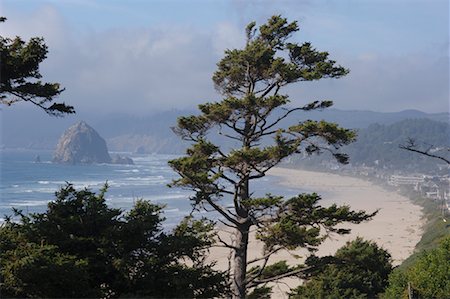 simsearch:600-02046445,k - Übersicht über die Küste, Oregon, USA Stockbilder - Premium RF Lizenzfrei, Bildnummer: 600-01072967