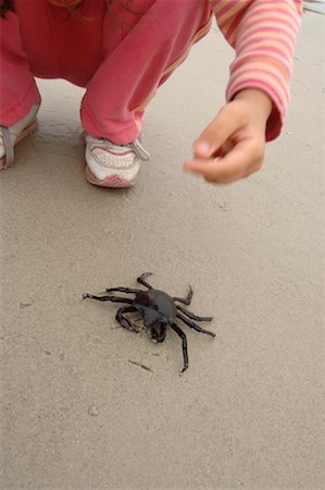 Girl Holding crabe Photographie de stock - Premium Libres de Droits, Code: 600-01072979