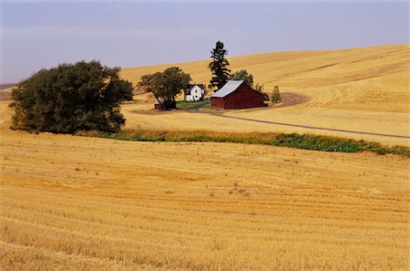 Farmland, Washington, USA Stock Photo - Premium Royalty-Free, Code: 600-01083223