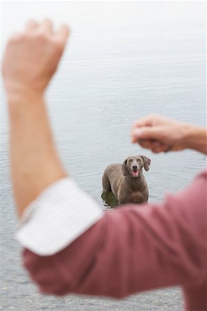 skipping stone - Homme qui joue avec le chien Photographie de stock - Premium Libres de Droits, Code: 600-01083899