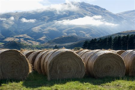 Hay Bales in Field Foto de stock - Sin royalties Premium, Código: 600-01083960