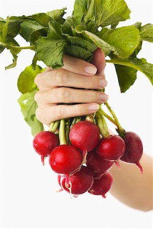 simsearch:600-02377500,k - Hand Holding Bunch of Radishes Foto de stock - Sin royalties Premium, Código: 600-01112909