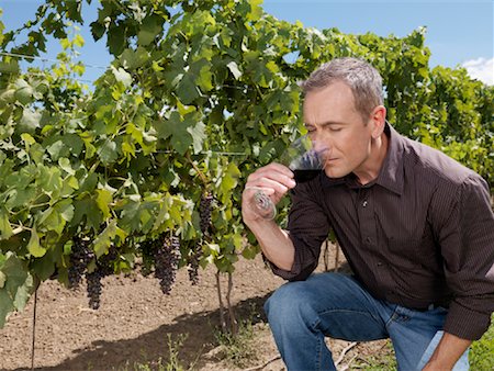 dégustateur de vin (homme et femme) - Homme, dégustation de vin Photographie de stock - Premium Libres de Droits, Code: 600-01120372