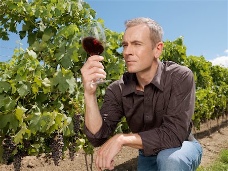 Man Inspecting Wine Fotografie stock - Premium Royalty-Free, Codice: 600-01120373