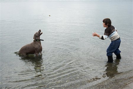 simsearch:600-03392453,k - Boy Playing with Dog on Beach Foto de stock - Sin royalties Premium, Código: 600-01123695
