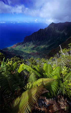 Na Pali Coast, Kauai, Hawaii, USA Stock Photo - Premium Royalty-Free, Code: 600-01164887