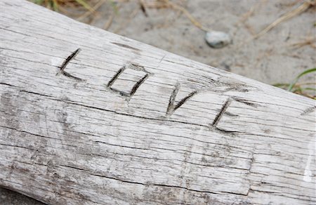 simsearch:633-05401372,k - Love Carved into Log Stock Photo - Premium Royalty-Free, Code: 600-01195084