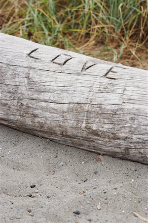 simsearch:633-05401372,k - Love Carved into Log Stock Photo - Premium Royalty-Free, Code: 600-01195085