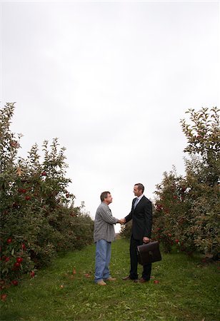 simsearch:400-05900712,k - Businessman and Farmer in Orchard Stock Photo - Premium Royalty-Free, Code: 600-01196545
