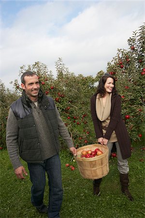 filling basket - Couple Carrying Basket of Apples Stock Photo - Premium Royalty-Free, Code: 600-01196589