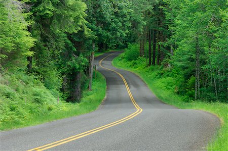 Road Winding Through Hoh Rain Forest, Olympic National Park, Washington, USA Stock Photo - Premium Royalty-Free, Code: 600-01199201