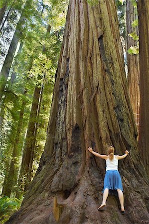 Femme étreignant séquoia, Humboldt Redwoods State Park, Californie, USA Photographie de stock - Premium Libres de Droits, Code: 600-01248434