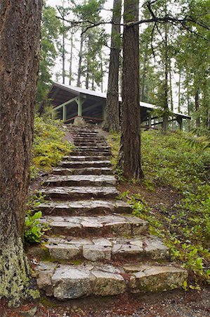 stair sports - Stairs in Forest Stock Photo - Premium Royalty-Free, Code: 600-01248435