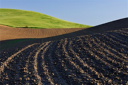 Gepflügtes Feld nahe Colfax, Palouse Region, Whitman County, Washington, USA Stockbilder - Premium RF Lizenzfrei, Bildnummer: 600-01248770