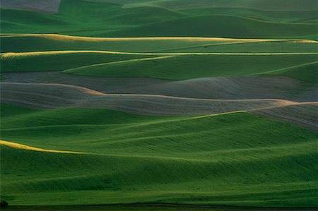 View From Steptoe Butte, Palouse Region, Whitman County, Washington, USA Stock Photo - Premium Royalty-Free, Code: 600-01248771