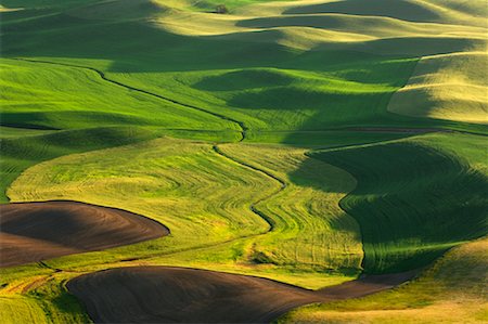 View From Steptoe Butte State Park, Palouse, Washington, USA Stock Photo - Premium Royalty-Free, Code: 600-01249259