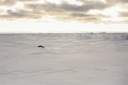 Lake in Winter Stock Photo - Premium Royalty-Free, Code: 600-01260017