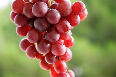 Grapes Stock Photo - Premium Royalty-Free, Code: 600-01260437