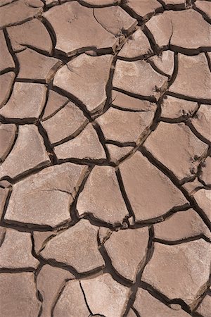 Cracked Mud at Low Tide, Bay of Fundy, Nova Scotia, Canada Stock Photo - Premium Royalty-Free, Code: 600-01275321