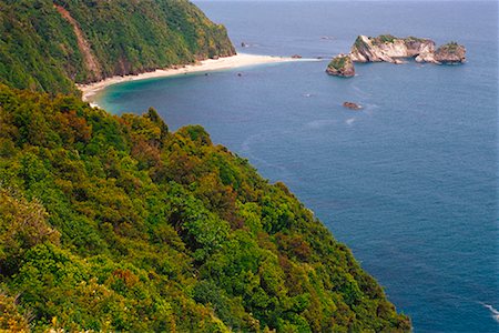 freeman patterson photography - Coast Near Knight's Point, South Island, New Zealand Stock Photo - Premium Royalty-Free, Code: 600-01295711