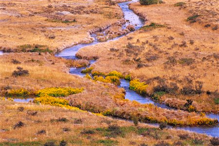 freeman patterson - Arthur Pass, New Zealand Photographie de stock - Premium Libres de Droits, Code: 600-01295712