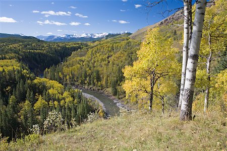 simsearch:700-00318646,k - Vue d'ensemble de la vallée de la rivière, Sheep River Provincial Park, Kananaskis Country, Alberta, Canada Photographie de stock - Premium Libres de Droits, Code: 600-01296494