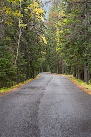 Road in Autumn, Banff National Park, Alberta, Canada Stock Photo - Premium Royalty-Free, Code: 600-01345153