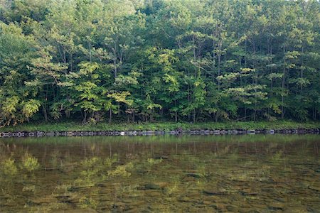 Cairns Pool, Beaverkill River, Catskill Park, New York, USA Stock Photo - Premium Royalty-Free, Code: 600-01345199