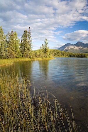 Rabbitkettle Lake, Nahanni National Park Reserve, North West Territories, Canada Foto de stock - Sin royalties Premium, Código: 600-01345203