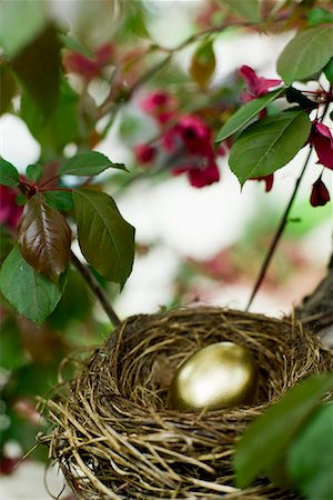 Golden Egg in Nest Stock Photo - Premium Royalty-Free, Code: 600-01374736