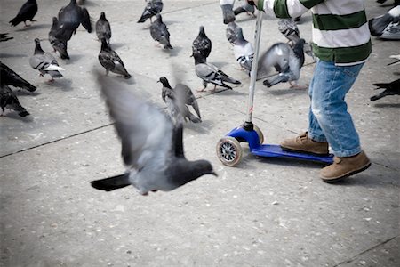 Boy Chasing Pigeons on Scooter Stock Photo - Premium Royalty-Free, Code: 600-01429325