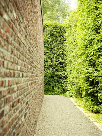 Brick Wall and Hedge Fotografie stock - Premium Royalty-Free, Codice: 600-01429330