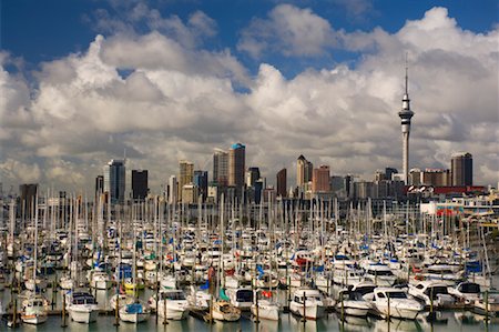 Westhaven Marina, Auckland, North Island, New Zealand Foto de stock - Royalty Free Premium, Número: 600-01458232