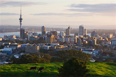 Skyline, Auckland, North Island, New Zealand Foto de stock - Royalty Free Premium, Número: 600-01458241