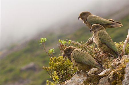 southland - KEAS Photographie de stock - Premium Libres de Droits, Code: 600-01458283