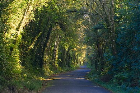 scenic north island roads - Road, Egmont National Park, North Island, New Zealand Foto de stock - Sin royalties Premium, Código: 600-01458329