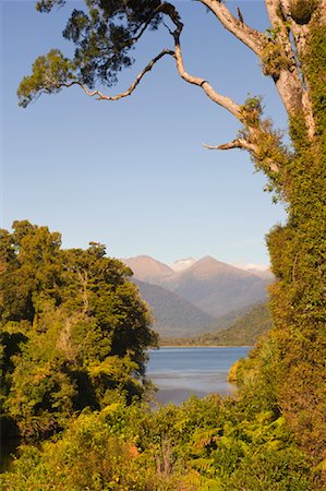 Lake Moeraki, Westland, South Island, New Zealand Fotografie stock - Premium Royalty-Free, Codice: 600-01458349