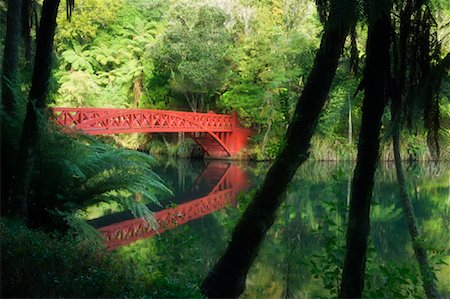 Bridge, Pukekura Park, New Plymouth, North Island, New Zealand Stock Photo - Premium Royalty-Free, Code: 600-01458368