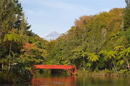 simsearch:600-00824959,k - Bridge, Pukekura Park, New Plymouth, North Island, New Zealand Foto de stock - Sin royalties Premium, Código: 600-01458369