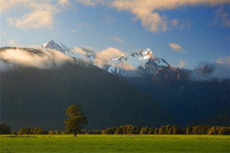 simsearch:600-00796048,k - Mount Tasman and Mount Cook, Westland, South Island, New Zealand Foto de stock - Sin royalties Premium, Código: 600-01458362